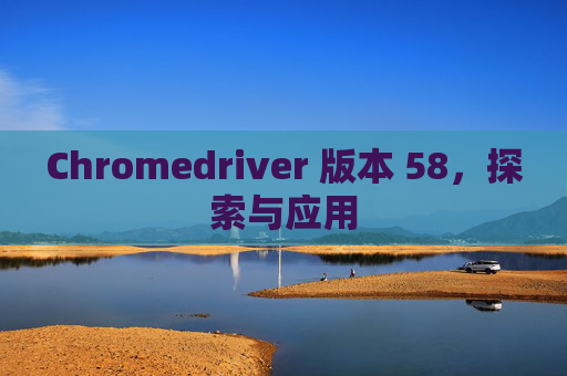Chromedriver 版本 58,探索与应用 Chromedriver 版本 58,探索与应用